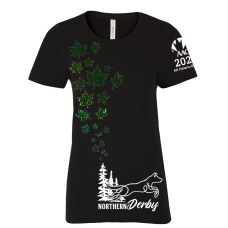 2024 AAC All-Ontario Regionals - Ladies t-shirts - Northern Lights option