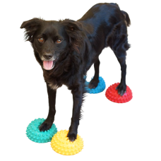 ﻿FitPaws® Paw Pods