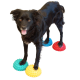 ﻿FitPaws® Paw Pods