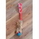 2023 WAO  Team Canada Dental Ball Comet