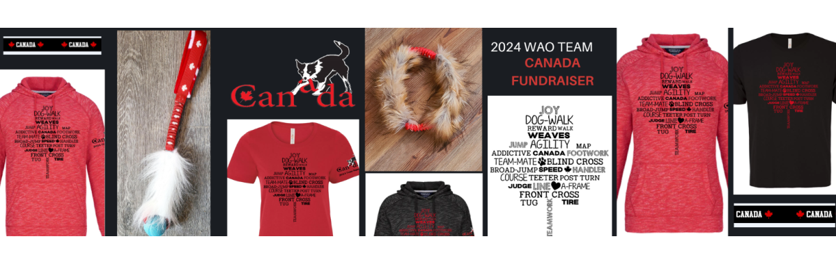 WAO 2024 Fundraiser