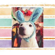 Easter Holiday Surprise kit